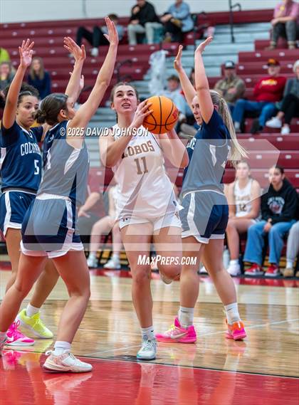 Thumbnail 2 in Rocky Mountain vs. Columbine photogallery.