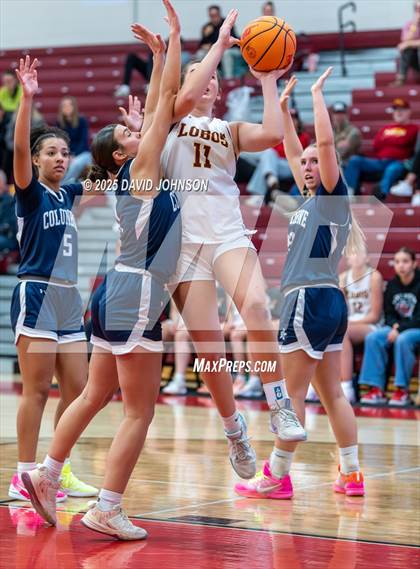 Thumbnail 3 in Rocky Mountain vs. Columbine photogallery.