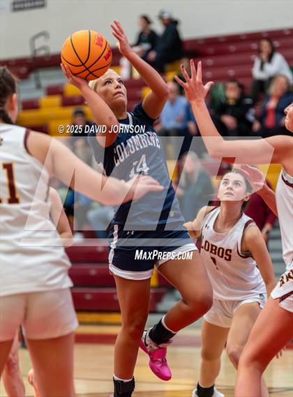 Thumbnail 2 in Rocky Mountain vs. Columbine photogallery.