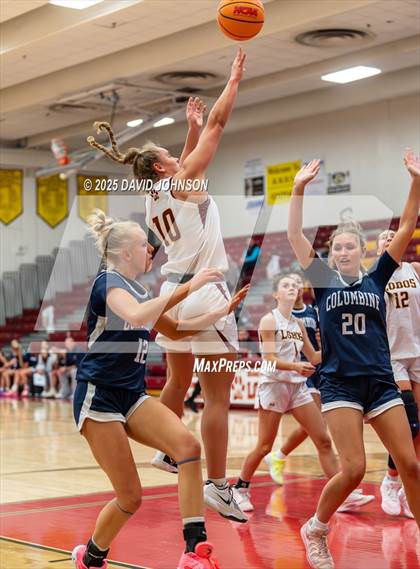 Thumbnail 1 in Rocky Mountain vs. Columbine photogallery.