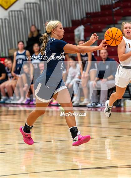 Thumbnail 2 in Rocky Mountain vs. Columbine photogallery.