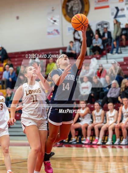 Thumbnail 3 in Rocky Mountain vs. Columbine photogallery.