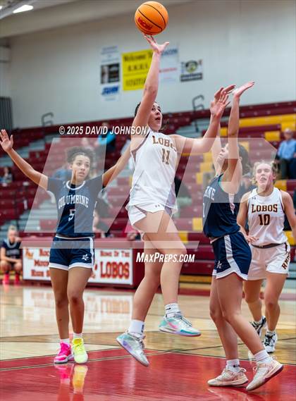 Thumbnail 2 in Rocky Mountain vs. Columbine photogallery.