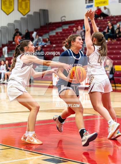 Thumbnail 1 in Rocky Mountain vs. Columbine photogallery.