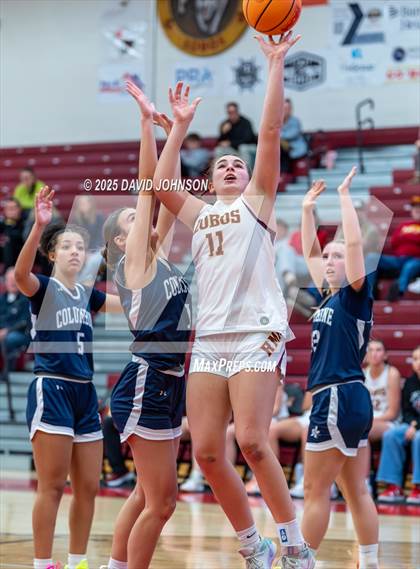 Thumbnail 2 in Rocky Mountain vs. Columbine photogallery.