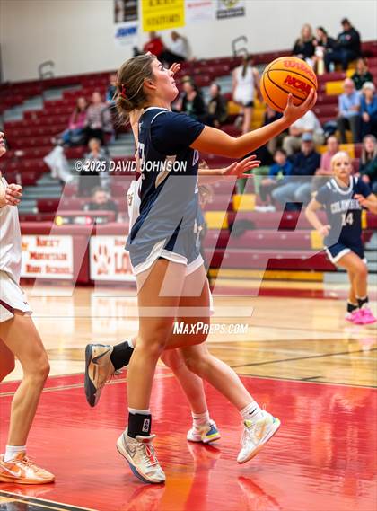 Thumbnail 3 in Rocky Mountain vs. Columbine photogallery.