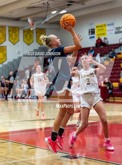 Thumbnail 3 in Rocky Mountain vs. Columbine photogallery.