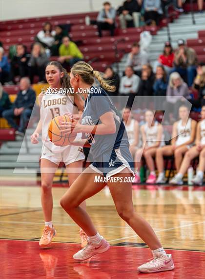 Thumbnail 3 in Rocky Mountain vs. Columbine photogallery.