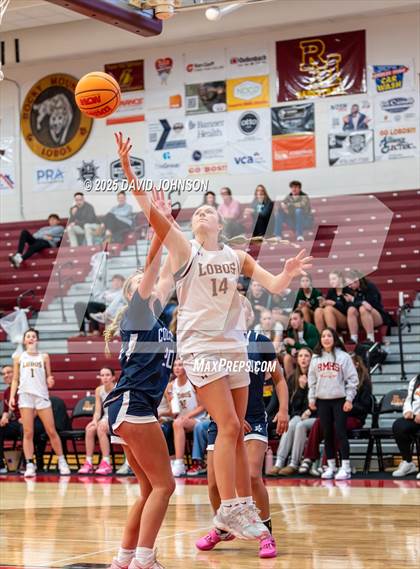 Thumbnail 2 in Rocky Mountain vs. Columbine photogallery.