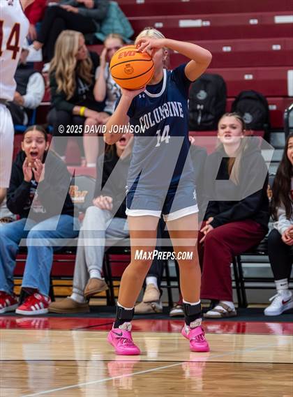 Thumbnail 1 in Rocky Mountain vs. Columbine photogallery.