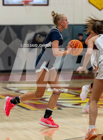 Thumbnail 2 in Rocky Mountain vs. Columbine photogallery.