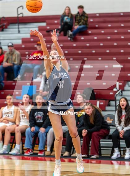 Thumbnail 1 in Rocky Mountain vs. Columbine photogallery.