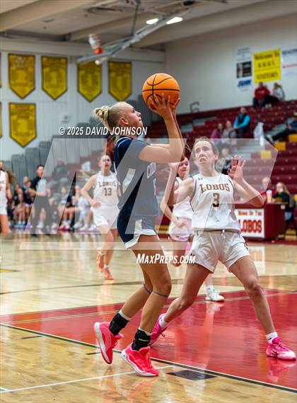 Thumbnail 2 in Rocky Mountain vs. Columbine photogallery.