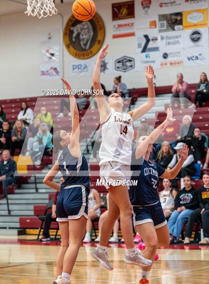 Thumbnail 1 in Rocky Mountain vs. Columbine photogallery.