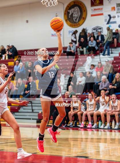 Thumbnail 3 in Rocky Mountain vs. Columbine photogallery.