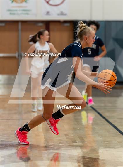 Thumbnail 3 in Rocky Mountain vs. Columbine photogallery.