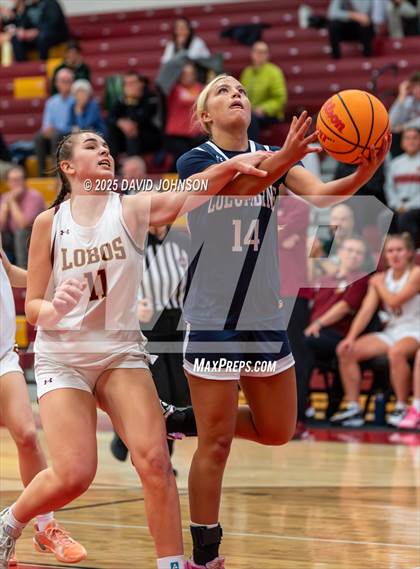 Thumbnail 1 in Rocky Mountain vs. Columbine photogallery.