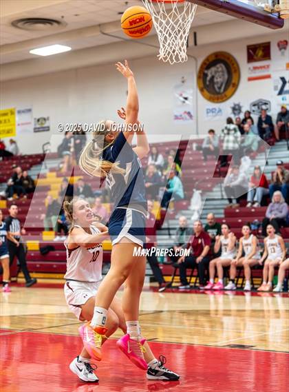 Thumbnail 1 in Rocky Mountain vs. Columbine photogallery.