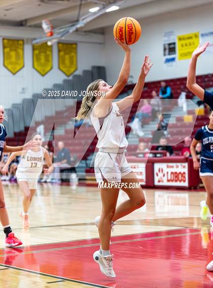 Thumbnail 3 in Rocky Mountain vs. Columbine photogallery.