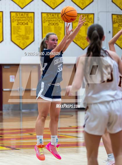 Thumbnail 2 in Rocky Mountain vs. Columbine photogallery.