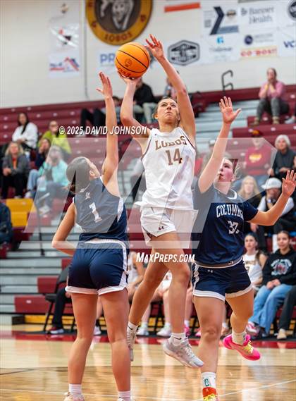 Thumbnail 2 in Rocky Mountain vs. Columbine photogallery.