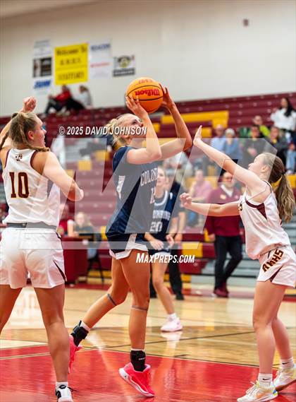 Thumbnail 3 in Rocky Mountain vs. Columbine photogallery.