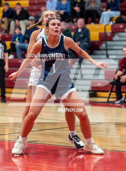 Thumbnail 2 in Rocky Mountain vs. Columbine photogallery.