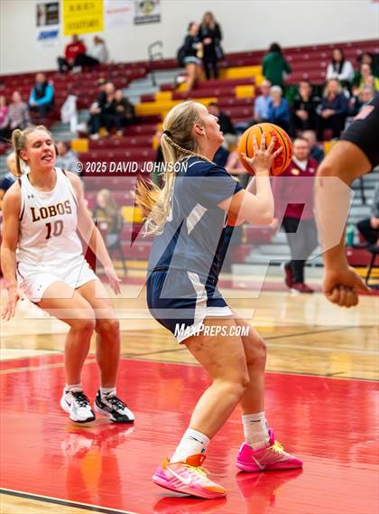 Thumbnail 3 in Rocky Mountain vs. Columbine photogallery.