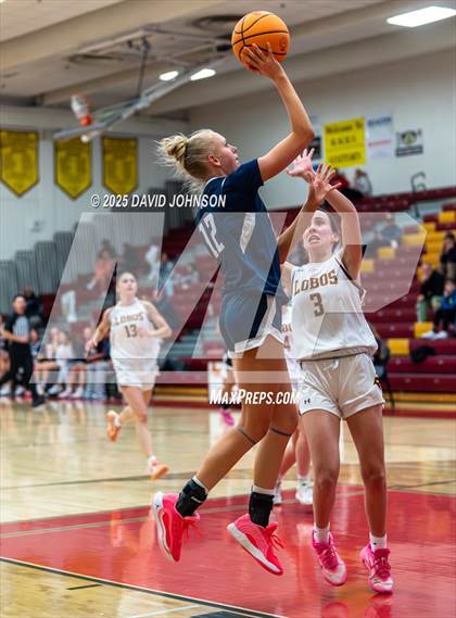 Thumbnail 1 in Rocky Mountain vs. Columbine photogallery.