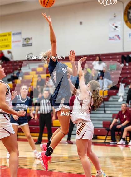 Thumbnail 3 in Rocky Mountain vs. Columbine photogallery.