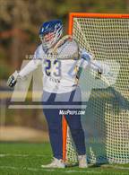 Photo from the gallery "Pine Forest @ Cape Fear"