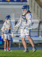Photo from the gallery "Pine Forest @ Cape Fear"