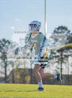 Photo from the gallery "Pine Forest @ Cape Fear"