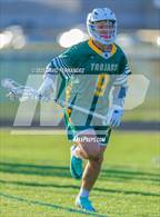 Photo from the gallery "Pine Forest @ Cape Fear"
