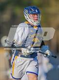 Photo from the gallery "Pine Forest @ Cape Fear"