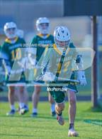 Photo from the gallery "Pine Forest @ Cape Fear"