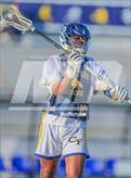 Photo from the gallery "Pine Forest @ Cape Fear"