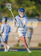 Photo from the gallery "Pine Forest @ Cape Fear"