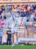 Photo from the gallery "Pine Forest @ Cape Fear"
