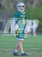 Photo from the gallery "Pine Forest @ Cape Fear"