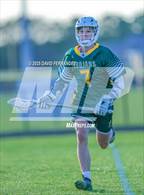 Photo from the gallery "Pine Forest @ Cape Fear"