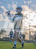 Photo from the gallery "Pine Forest @ Cape Fear"
