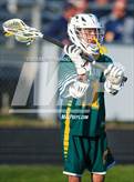 Photo from the gallery "Pine Forest @ Cape Fear"