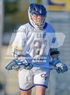 Photo from the gallery "Pine Forest @ Cape Fear"