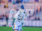 Photo from the gallery "Pine Forest @ Cape Fear"