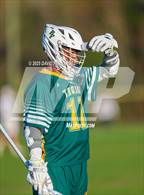 Photo from the gallery "Pine Forest @ Cape Fear"