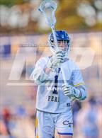 Photo from the gallery "Pine Forest @ Cape Fear"