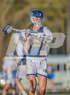 Photo from the gallery "Pine Forest @ Cape Fear"