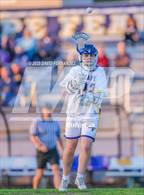 Photo from the gallery "Pine Forest @ Cape Fear"