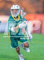 Photo from the gallery "Pine Forest @ Cape Fear"